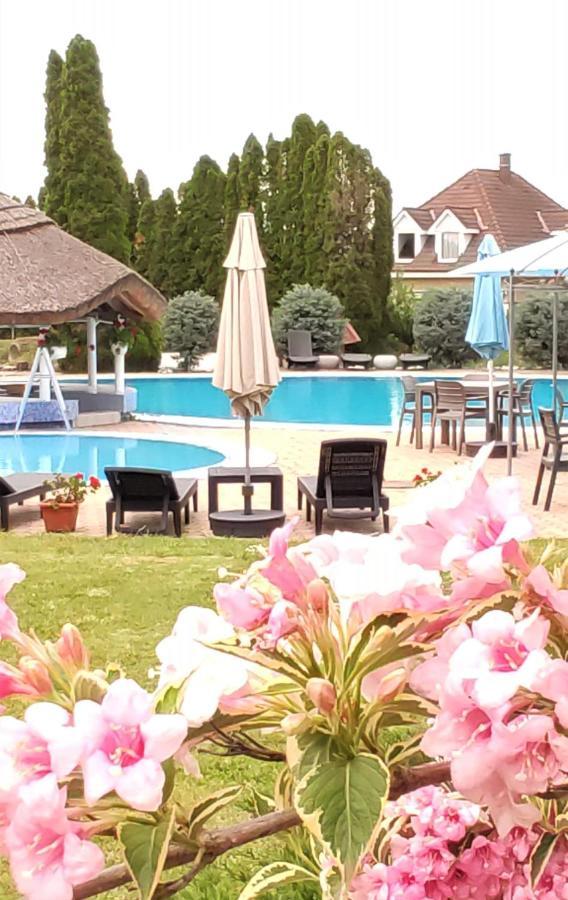 Helena Studio Apartman Siófok Buitenkant foto